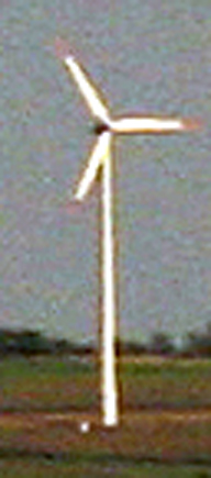 300d IMG_9076 Ausschnitt 3_b_bearbeitet-1