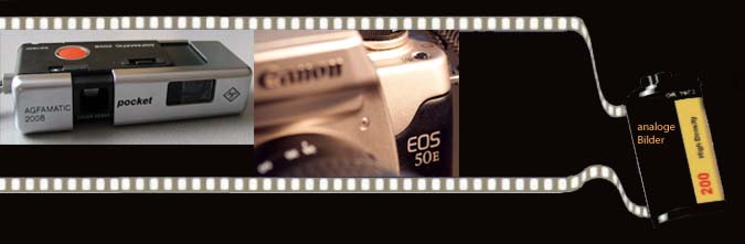 Filmrolle2 Kopie