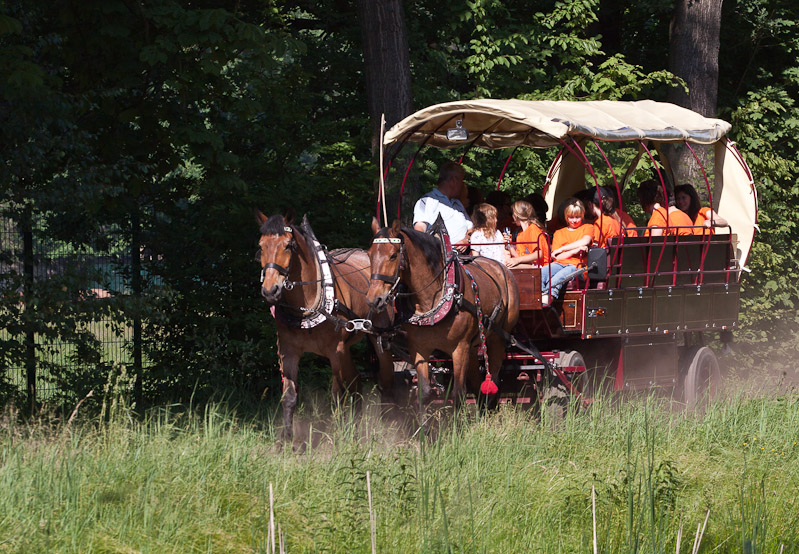 IMG_7893_LR3