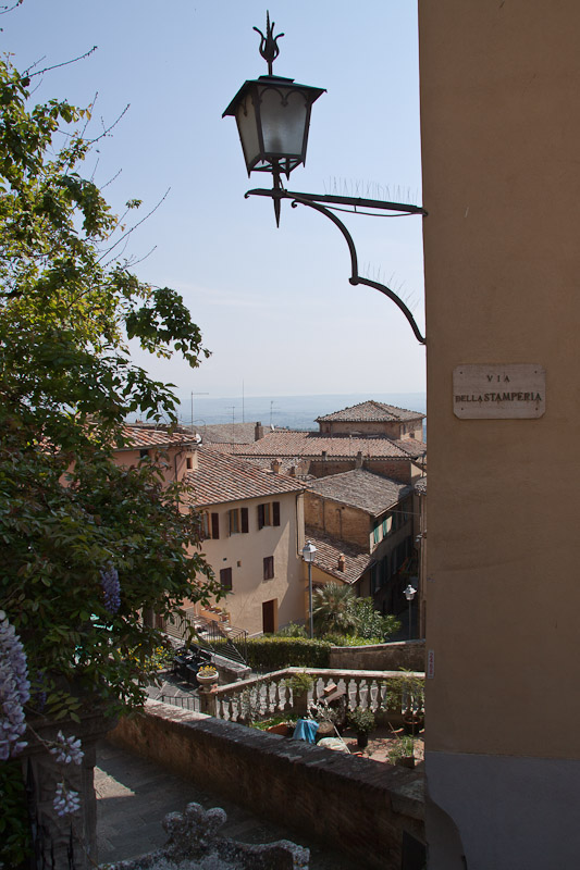 06 canon Moltepuciano (4)